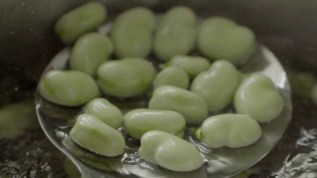 Pasta and Fava Beans Italian Cook Academia Barilla